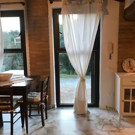 La Perla Tra Gli Ulivi Διαμέρισμα Σιένα Εξωτερικό φωτογραφία