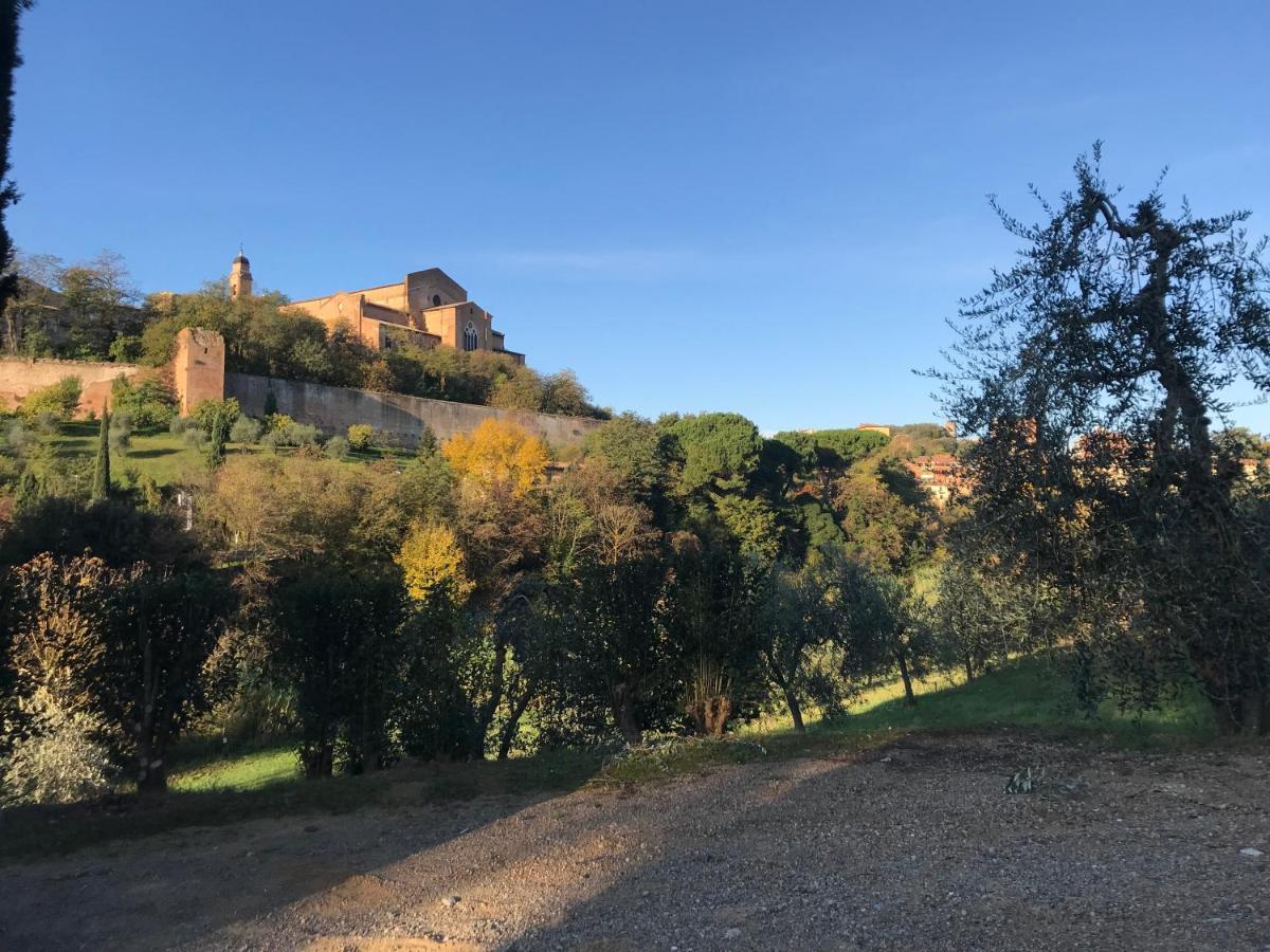 La Perla Tra Gli Ulivi Διαμέρισμα Σιένα Εξωτερικό φωτογραφία